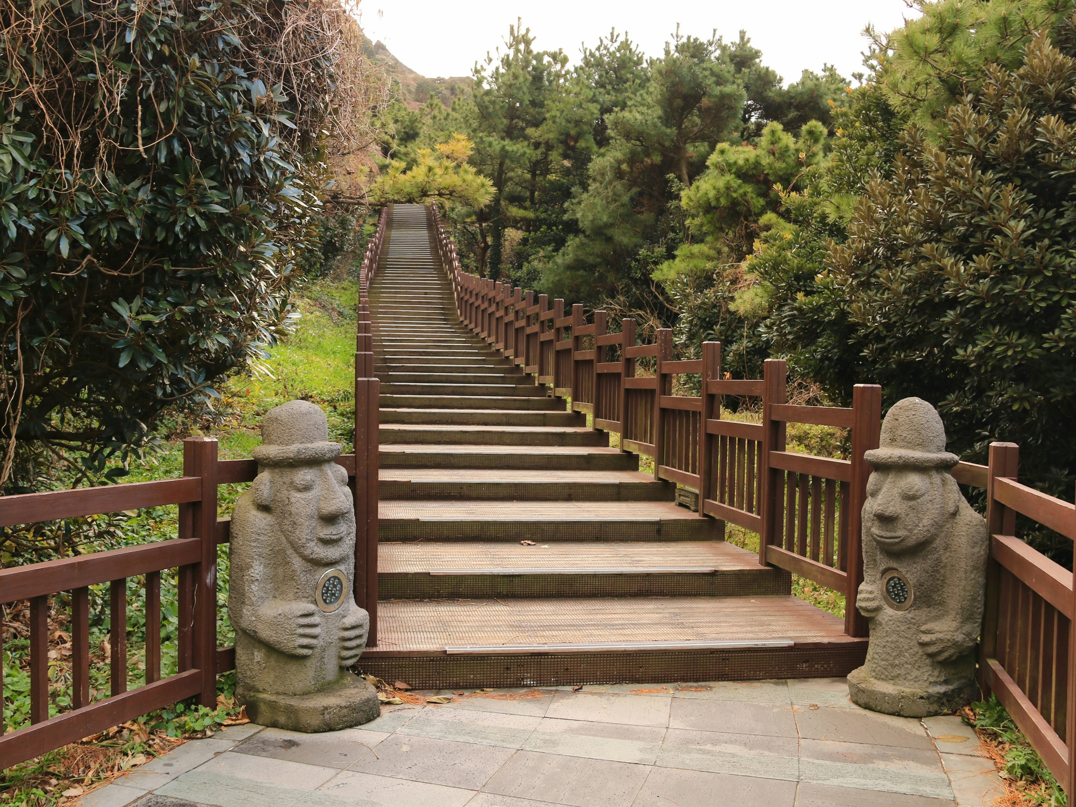 제주 + 동해내륙권 6박7일